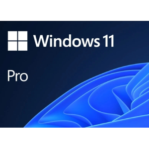 Windows 11 Pro