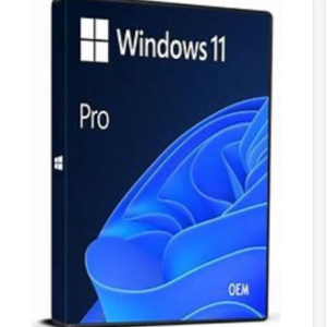 Windows 11 Pro